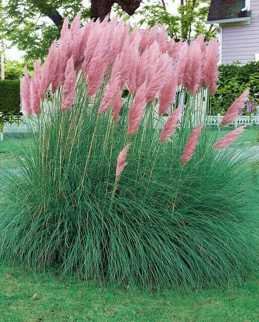 Cayway Touffes D’Herbe & Fleurs Statiques – 28 Pièces – Nylon Vert/Rose – Hauteur 11 Mm – Pour Dioramas Train, Figurines, Maquettes