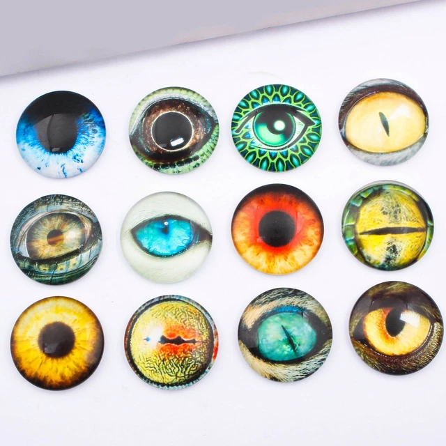 2 Pairs Round Glass Cabochon Animal Eyes Lizard Cat Bird Dragon Dog Flat Back