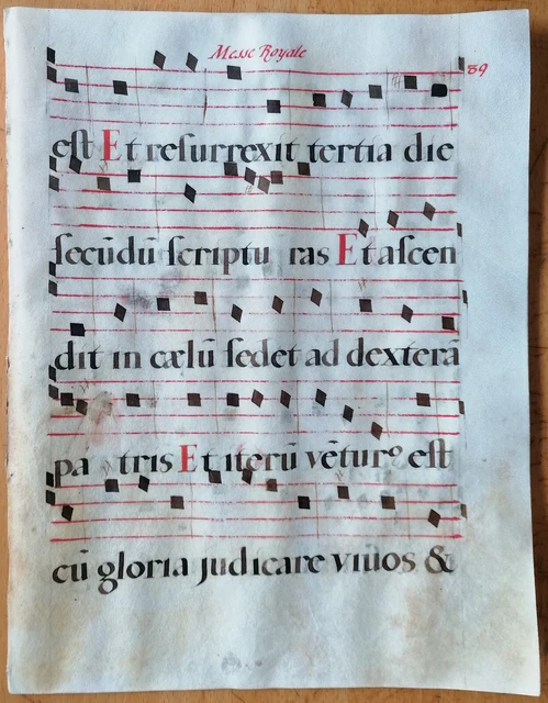 Original Blatt Manuskript Antiphonarium Pergament Folio (X) - 1550