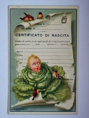 BERTIGLIA Certificato di nascita bambino baby vecchia cartolina