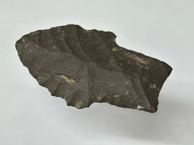 Amazing Pitkin Chert Archaic Stemmed Found In Greene County Arkansas Arrowhead