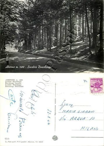 Cartolina di Abetone, località Boscolungo - Pistoia, 1964