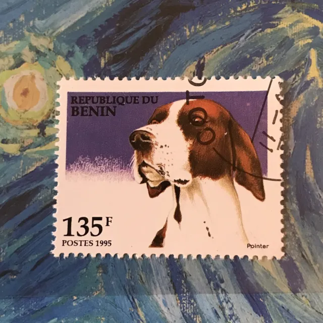 Pointer Dog Stamp Dogs Collectible Dog24