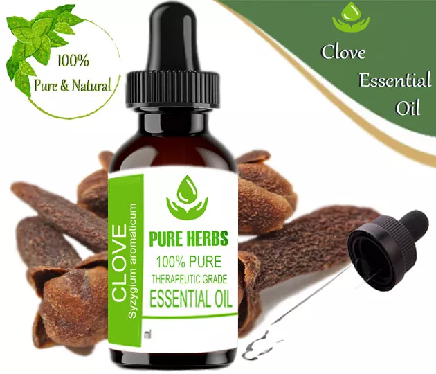 Pure Herbs Clou de Girofle 100% Pure Syzygium Aromaticum Huile Essentielle