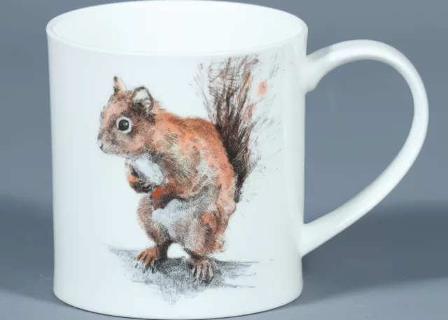 DUNOON RED SQUIRREL Fine Bone China ORKNEY Mug