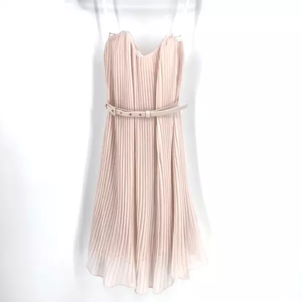 NWT French Connection Shelby Womens Pleated Belted Summer Dress Pale Pink Size 2 2