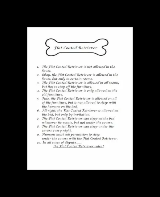 * Flat Coated Retriever "Rules" - CUSTOM MATTED - Dog Art Print : GIFT