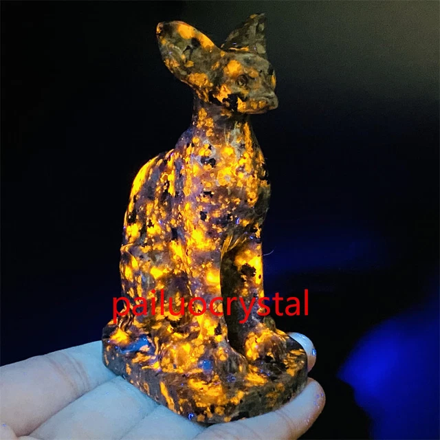 1pcs Natural Yooperite Hairless cat Quartz Crystal Skull Carved Figurines Gem 3"