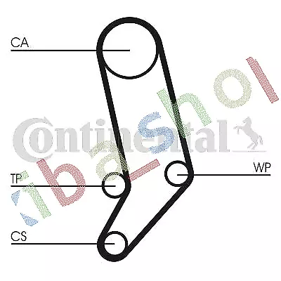 Timing Set Belt + Pulley + Water Pump Fits For Vw Transporter Iv 24D/25