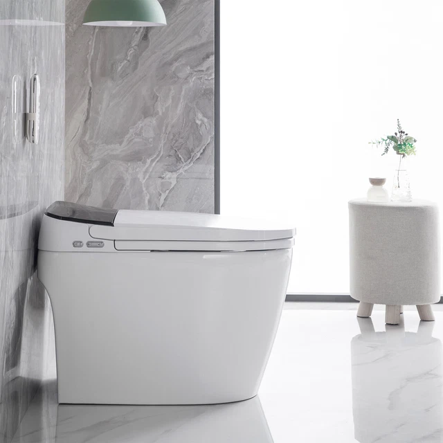 ELONGATED ONEPIECE SMART Toilet With Advance Bidet And Soft Closing