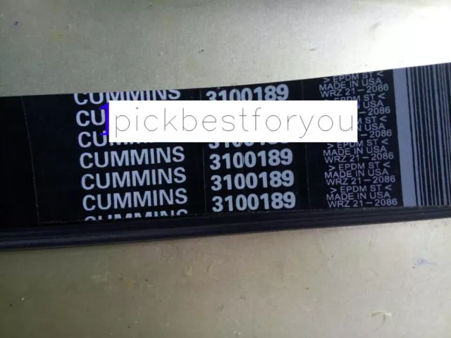 1PCS New 3100189 Cummins Fan Belt #M37C QL