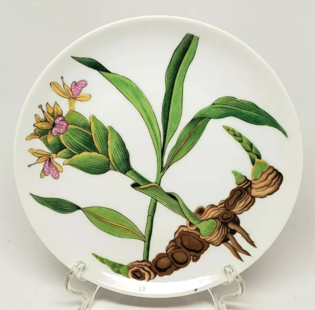 Vintage Shafford - SHA5 - Ginger Salad Plate Japan - Herb Botanical Plant Plates