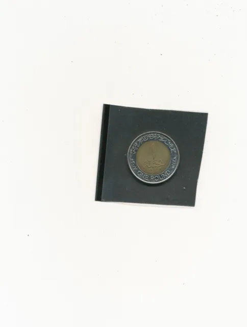 Circulated  Egyptian One Pound   Minted       2007