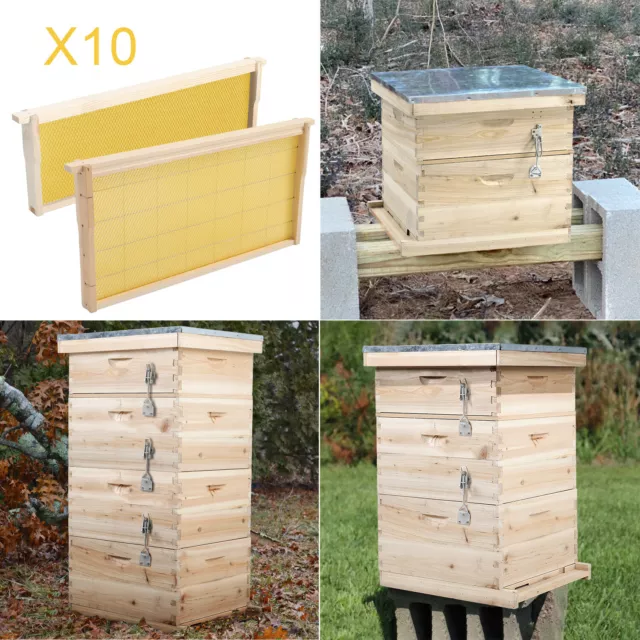 Beekeeping Honey Bee Hive Frames Brood House Wooden Box Pro Beekeeper Tool UK