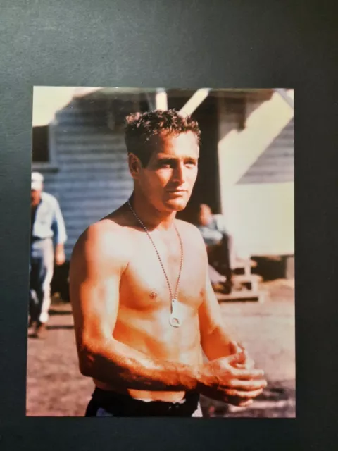 Paul Newman 8 x 10 movie picture Cool hand Luke..no shirt.. Like new appearance