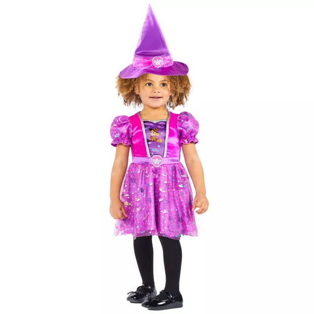 Childs Official Paw Patrol Skye Witch Halloween Fancy Dress Costume Cartoon Kids