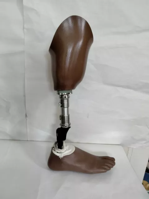 Prosthetic  right Leg Below The Knee Ossur size 27  Bulldog STCA-1S