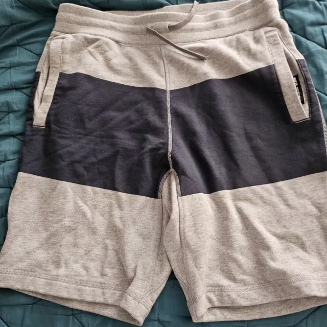 Nike SB Fleece Shorts Large Navy & Gray