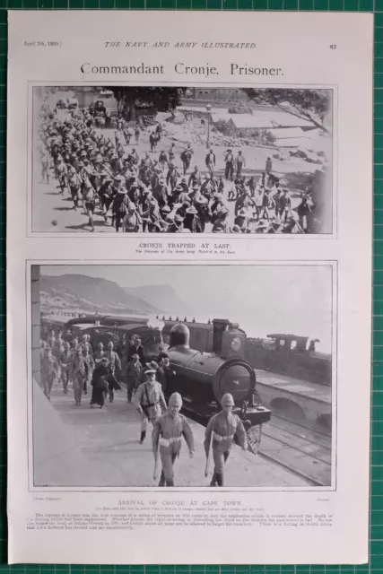 1900 BOER WAR Era Commandant Cronje Prisoners Arrival At Cape Town $30. ...
