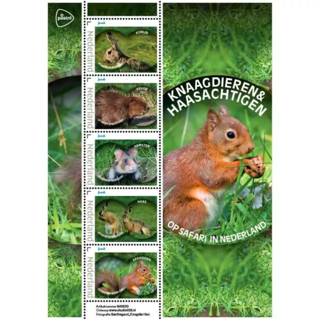 NETHERLANDS 2024On Safari in the Netherlands - Rodents & Hares -  Sheet MNH