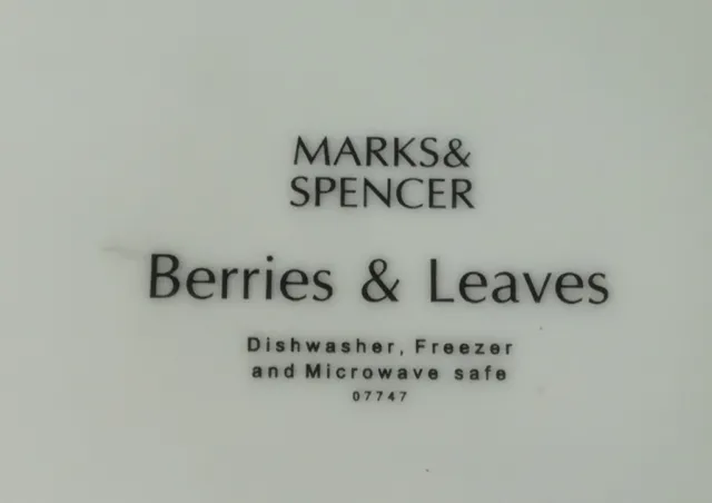 Marks and Spencer Berries and Leaves Teapot 2
