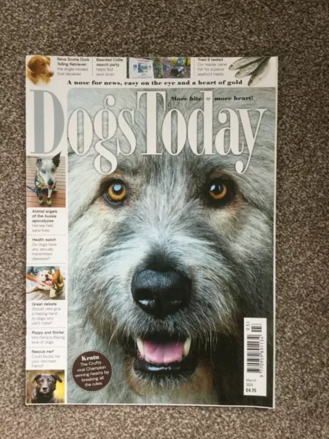 Dogs Today Magazine - March 2020 - Mint - Free P&P