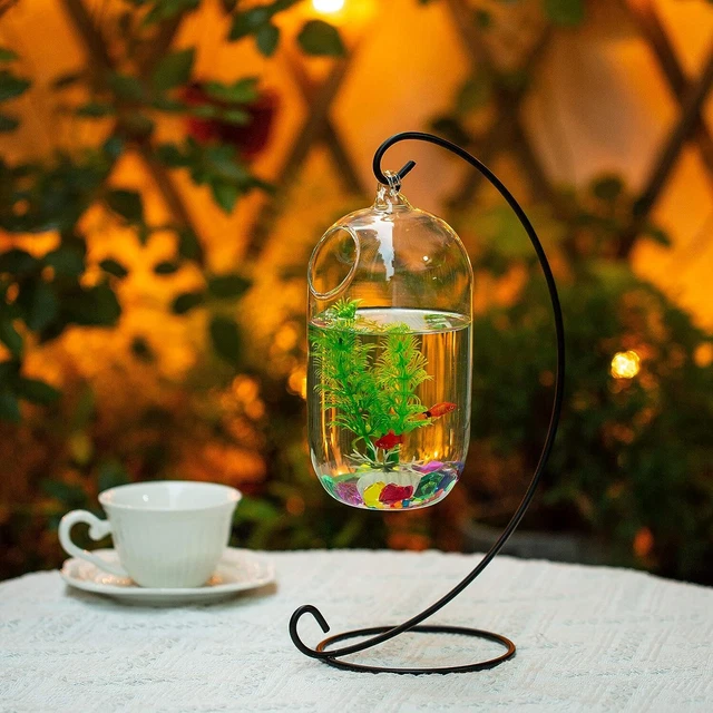 Desk Glass Hanging Fish Bowl Tank Beta Tank with Stand Fish Homes Creative Vase 3