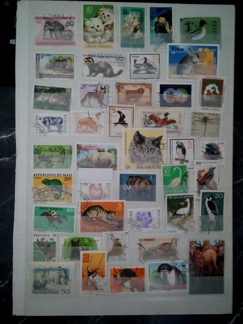 Tiere Mix Wilde Tiere Wild Animals Stamps Sellos Briefmarken Timbres