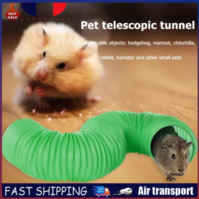 Small Pet Collapsible Tunnel Tube for Rabbit Ferret Guinea Pig Toy (Green) FR