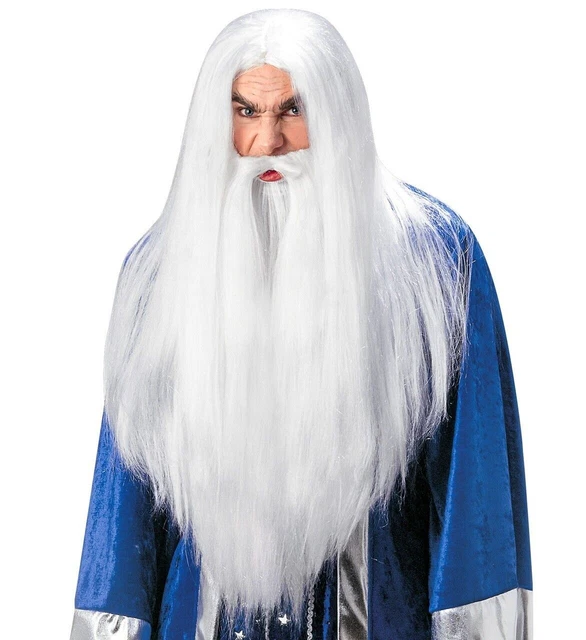 WIG WIG WIZARD WITH FULL BEARD OF MUSTACHE new CARNIVAL PARTY
