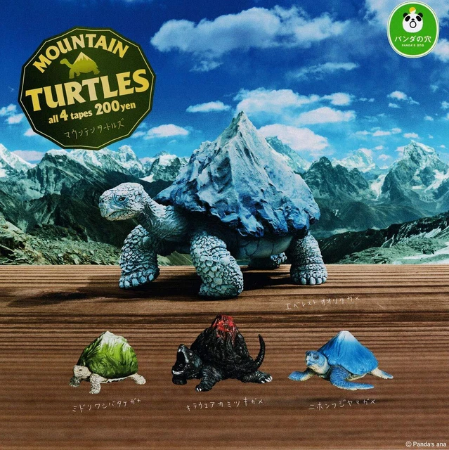 Panda's Hole Mountain Turtles [Set of 4]