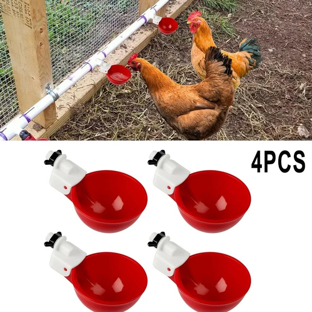 Dispenser Automatico Acqua per Pollame 4pz Tazze Irrigazione Quaglia Pollo Anatr