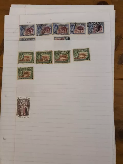 Dominica Stamps On 11 Pages Lots Of Duplication