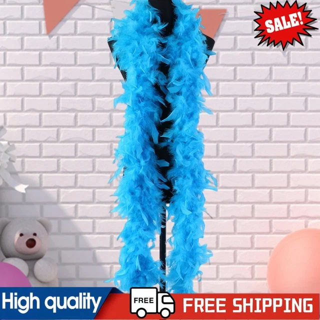 Fancy Dress Colorful Feather Scarf Lifeful for Fancy Dress Crafts (Lake Blue)