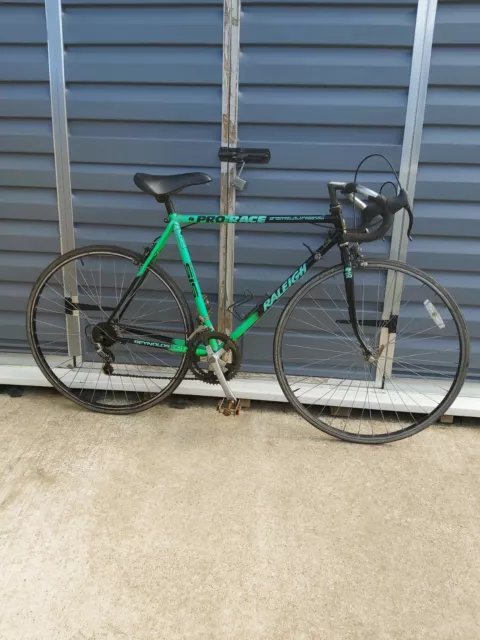 Raleigh pro 2025 race