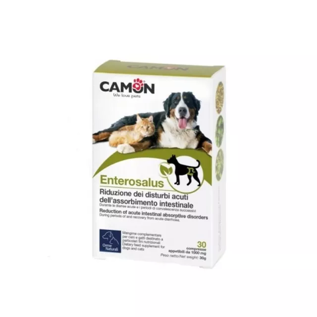 CAMON Enterosalus 30 tablets - intestinal supplement