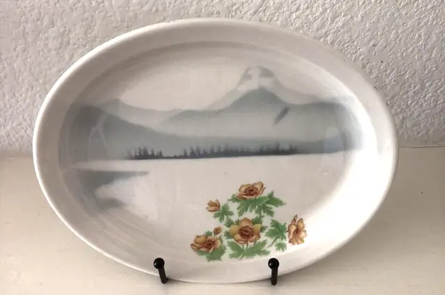 Great Northern Railroad “Mountains & Flowers” 7”x9” Oval. China Plate