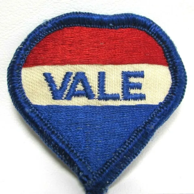 Vale Jacket Patch Brazilian Mining Company Iron Ore Nickel Employee Work Vintage