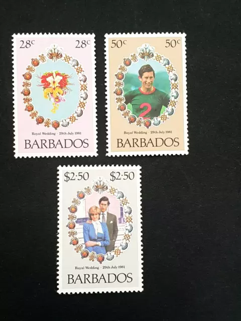 BARBADE 1981 Série n°521/523 Yvert 2019 MNH**