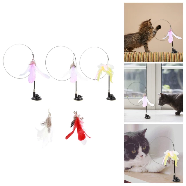 Jouet en plumes de chat drôle avec tige longue tige Teaser pour chaton Kitty