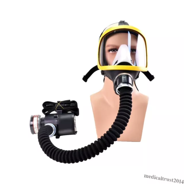 Air Fed Full Face Gas Mask Constant Flow Supplied Respirator Chemicals Painting
