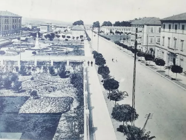 Cartolina Spoleto Viale Trento E Trieste Perugia Umbria Animata Paesaggistica