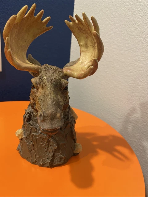 16 Point Moose Head Table Decoration Detailed 11” Tall  7 “ Wide