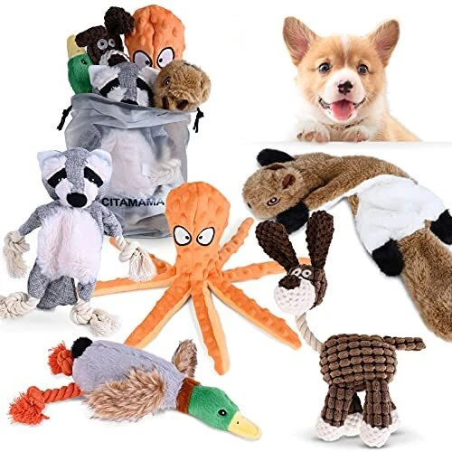 CITAMAMA Jouets Couinants pour Chien, Lot de 5 Jouet Peluche pour Chiens Interac