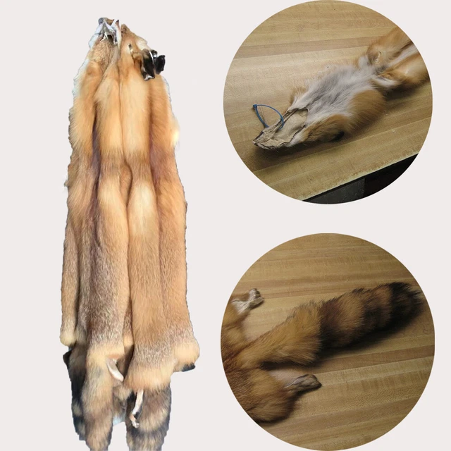1X Genuine Red Fox Hide Tanned Pelt Fur Heavy Fur High Quality Small Animal Fur