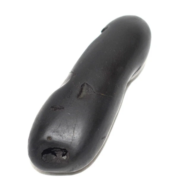 Matsya Shaligram/Srivatsa Matsya Salagram - Gandaki Río