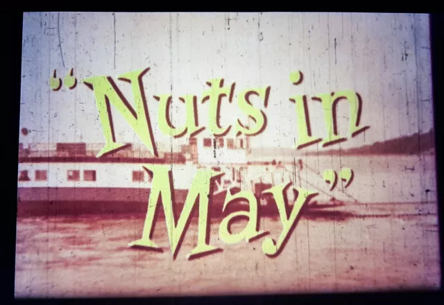 16mm  TV DRAMA FILM: NUTS IN MAY (1976) (Mike Leigh)