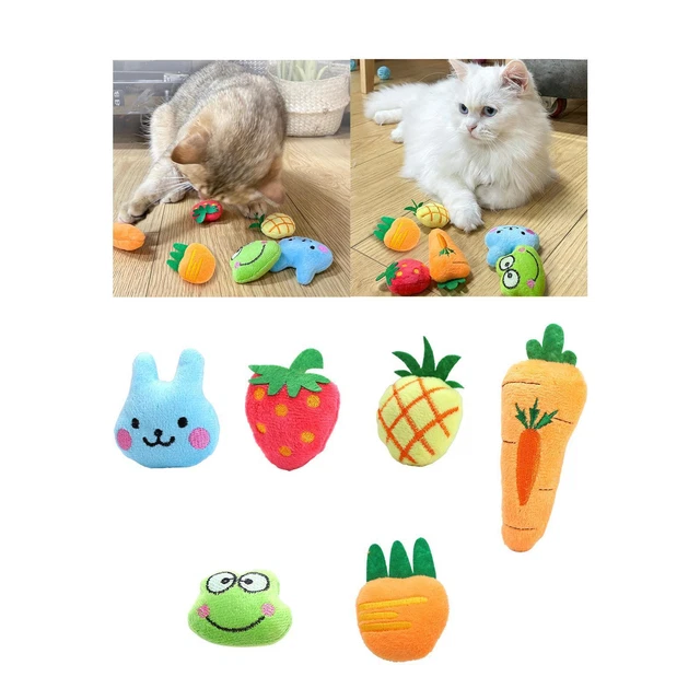 Juguete de menta para gatos de interior, juguete interactivo,