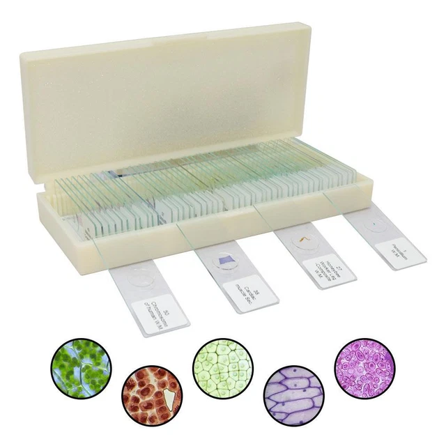 Discover Life's Wonders with 50 Pro Microscope Slides for Bio Samples - Plants