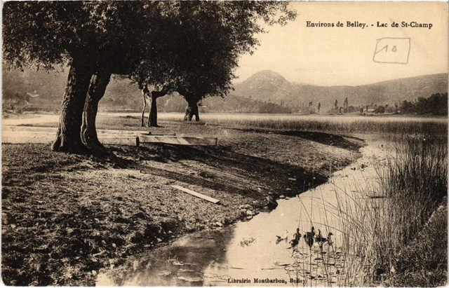 CPA Env de Belley Lac de St.Champ FRANCE (1335528)